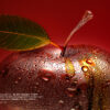 Sameh-Zain_GRAVITY_Mart-Gallery_000 Gravity