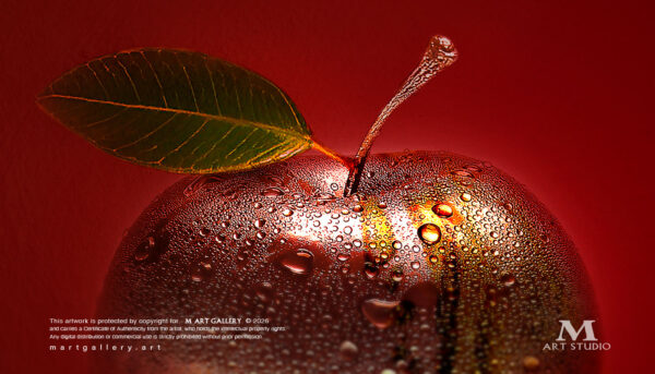 Sameh-Zain_GRAVITY_Mart-Gallery_000 Gravity